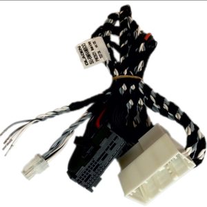 GLADEN BMW OEM - SU-BM-RAM-HK - Plug & Play RAM Harman Kardon Harness